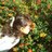 rociomarflo's profile image