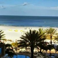 Eddie7232 (@eddie7232) 's Twitter Profile