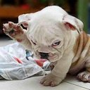 june summer - @mudanddirt123 - Twitter