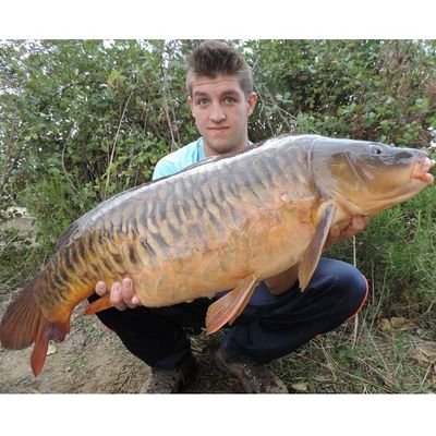 rubnsantos4's profile picture. 