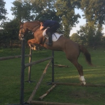 decduffy's profile picture. 