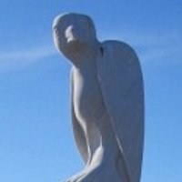 Anni Tracy 🇪🇺🚺✊🏻♀🦕 (@annitracy1) 's Twitter Profile