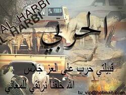 alharbi