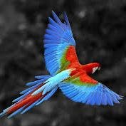 ogawa06110's profile picture. 