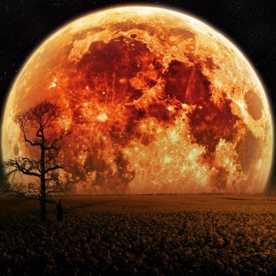 #horoscopodiario #horoscopochino averigua que te depara el #futuro cada dia