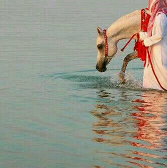 تابعني*&* اتابعك