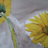 Miss H (@hobhort) 's Twitter Profile