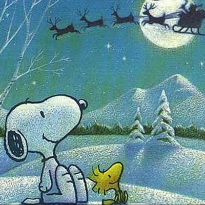 実は深い スヌーピーの名言 Snoopy Meigen B Twitter