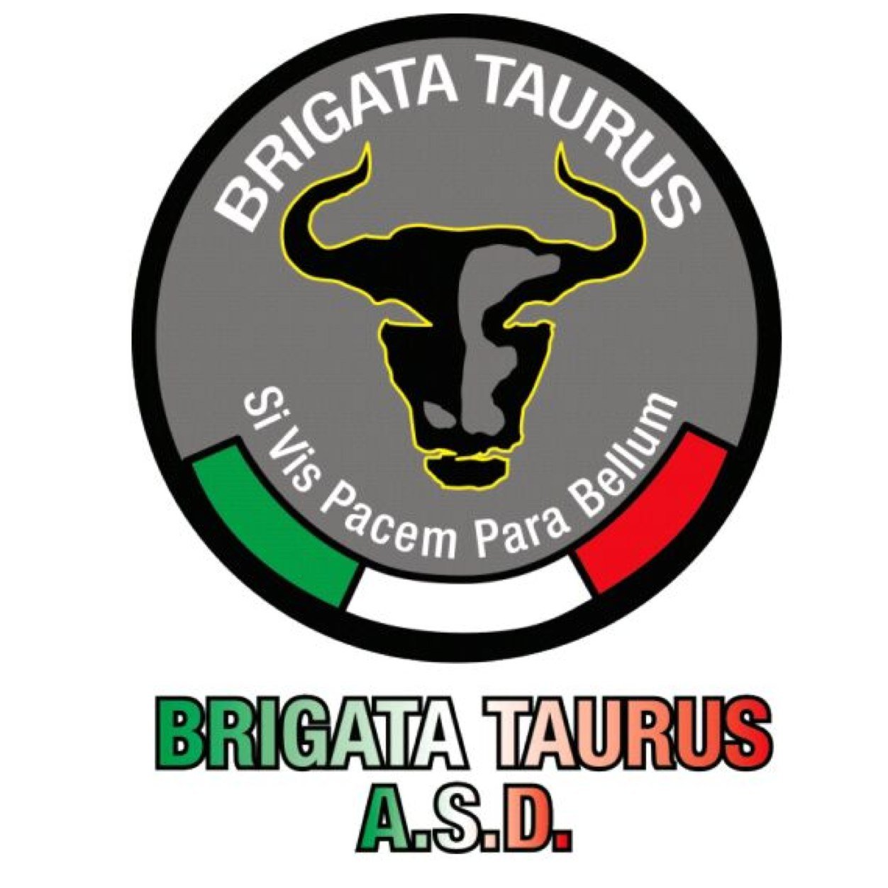 Brigata Taurus è un gruppo di amici appassionati del SoftAir. Creato nel 2012 ha sede a Torino ed iscritto all'CSEN come Associazione Sportiva Dilettantistica.