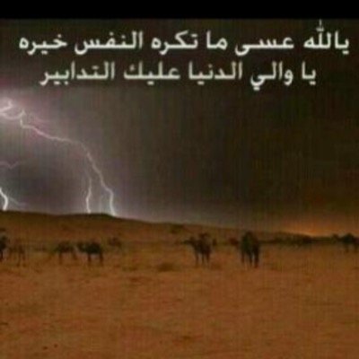 OytabiSaud's profile picture. 