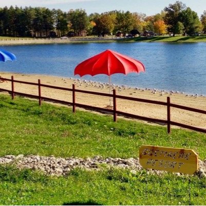 jerrygoe1's profile picture. 