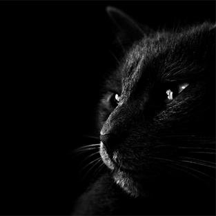 eduardorico22_'s profile picture. 