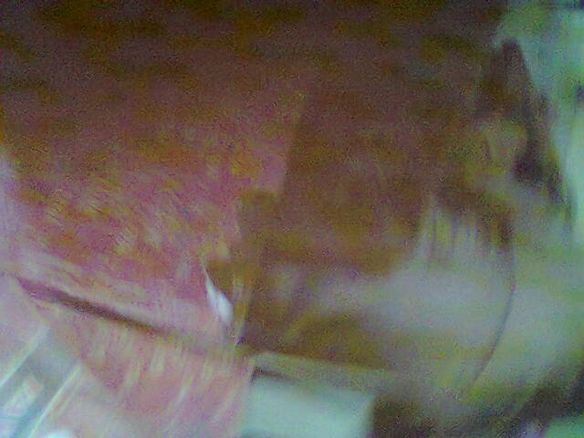 bncjdkslwef's profile picture. 