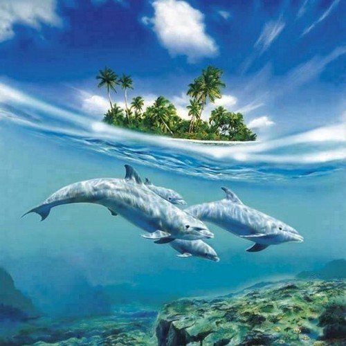 simonetash's profile picture. 