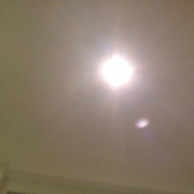 inne_txy's profile picture. 