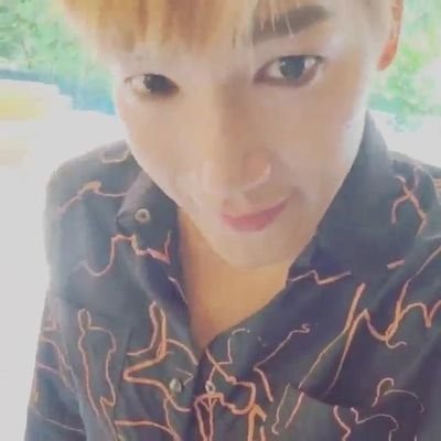 bingotti Profile Picture
