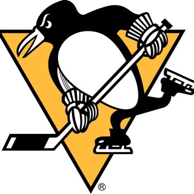 First hand news from the official New York Penguins twitter page. Get updated game and player stats. 2014 EASHL Elite Playoff Champions!!
WE ARE AMERICAS TEAM!!