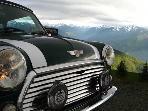 caninegreg's profile picture. http://t.co/8V4oTuVgKG  Cooper Stripes for all things classic Mini.