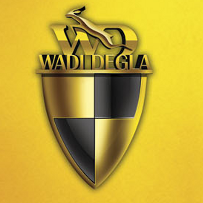 Compare Wadi Degla and Egypt National Football Team on Twitt