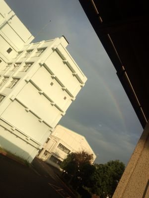 hanae_renesmee's profile picture. 高1，