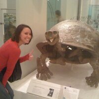 Amanda Tomasetti (@atomasetti) 's Twitter Profile