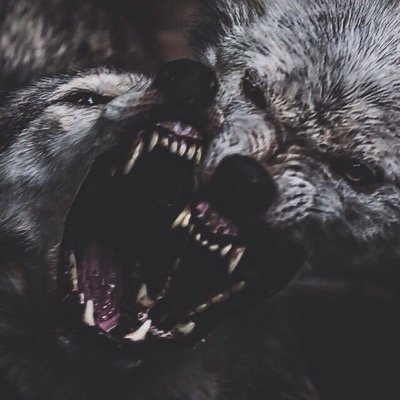 logocreate's profile picture. depressing schist. but I like it