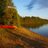 paddlepath's profile image