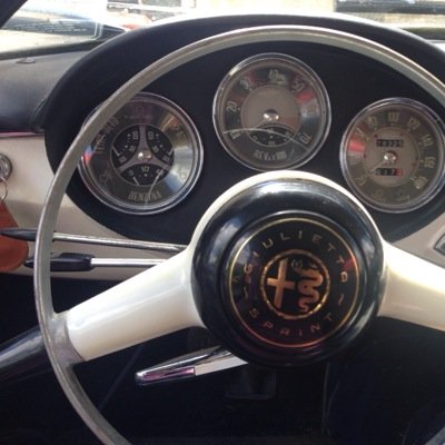 alfa (romeo) male, married 2 kids business owner keen gardener (haha) hack golfer and love sports and classic cars