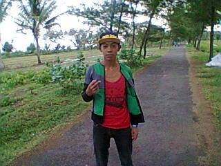 fly away
