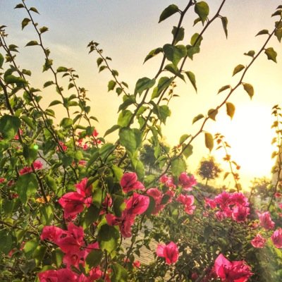 AZZA_AE's profile picture. Aka SERENDIPITY: Engineering/ Coffee/ Architecture/ Project Management/ TV Shows/ documentaries/ Innovation/ Urban/ Infrastructure/ AudioBooks