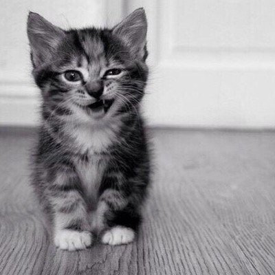 Lynxi_BE's profile picture. Proud Founder of Team @ByExamples   Want to chat? Kik me: Lynxi.