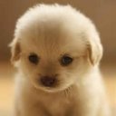 shevelle lee gebhart - @pinkiepies987 - Twitter