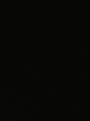 r55556667's profile picture. 