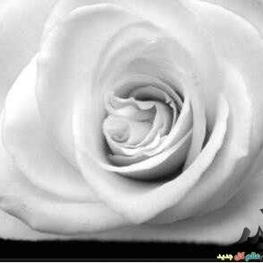 upvjtshk's profile picture. 