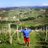 amazing_wine's profile image