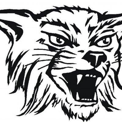 ALBA Lynx Youth Basketball Program