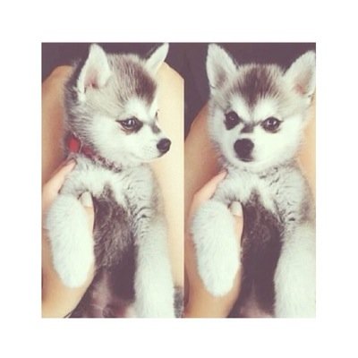 colourcreative_'s profile picture. ❥ғoʟʟoω ოɛ oɴ ɪɴʂтɑɢʀɑო ғoʀ ɑ ѵɑʀɪɛтყ oғ ƿʜoтoʂ 

♛@colourcreative