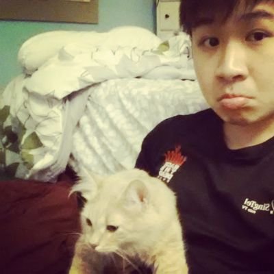 tintinnz's profile picture. Mehh?