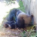 Mark Gresham - @bpdjohnson - Twitter