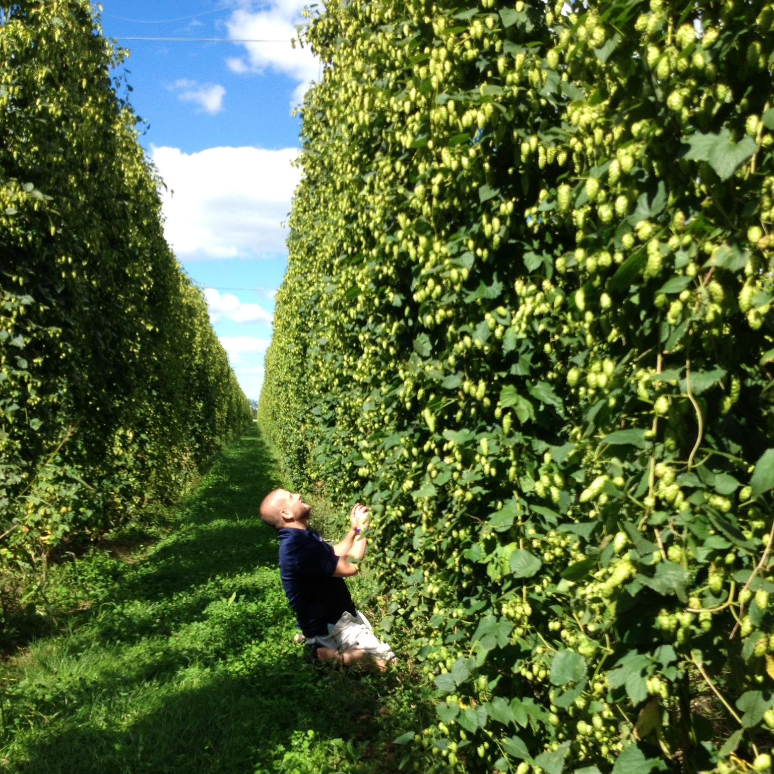 Dad. Husband. Son. West Michigan Beer Tours co-founder. Writer. Craft beer fan. Fiercely proud Michigander. Can't dunk.