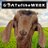 GOATotWEEK's profile image