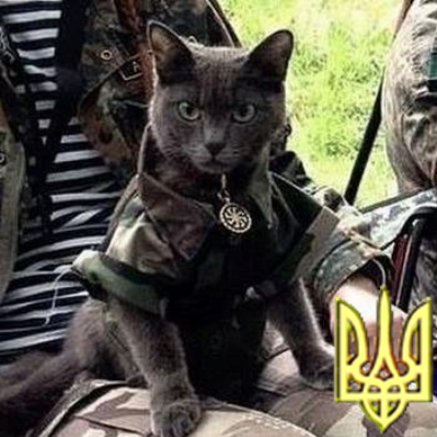 Volstein's profile picture. 