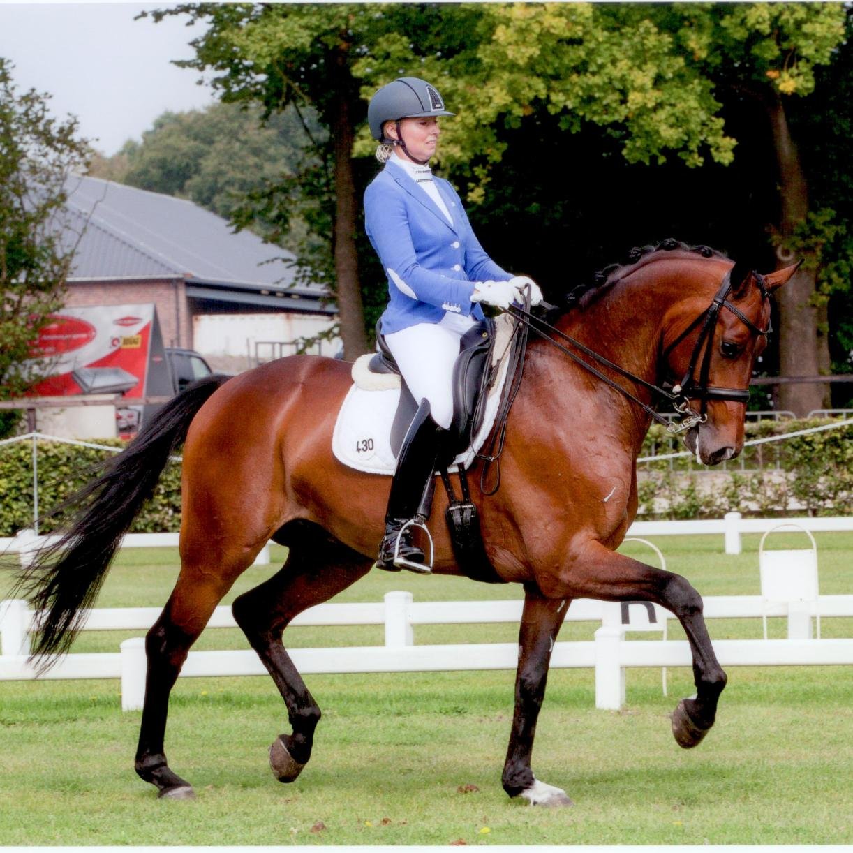 LvCraaikamp's profile picture. Dressage Horse Training, Sales &Equine Services