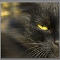Anatoliy Bazko (@tolusha) 's Twitter Profile