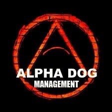 Account dedicated to the #AlphadogFamily! Go follow them ~ @Harvey @ThePowPowGirls @Blair @OverloadGen ✨