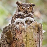 UfukÜniversitesi A.Ş (@uniufuk) Twitter profile photo