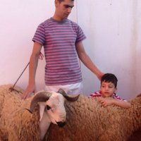 aziz ahosaymi (@ghariblhal) 's Twitter Profile