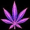 420HighNotes's profile picture. #TheTruthAboutWeed #HighNotes #DragonGang #420 #Marijuana #StayLifted