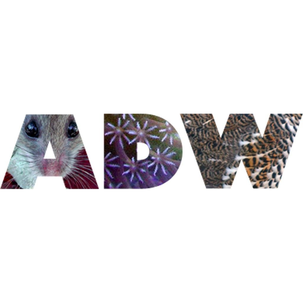 ADW logo