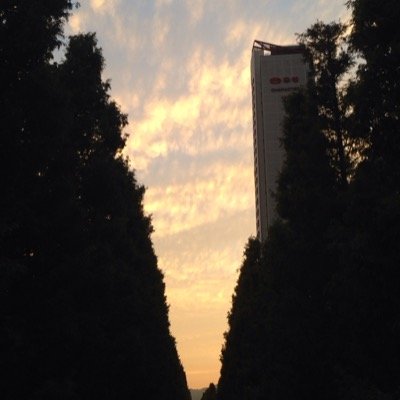 repositionin's profile picture. 